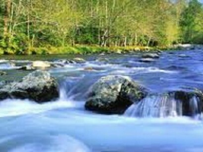 Parco Naturale Rio delle Foglie  
