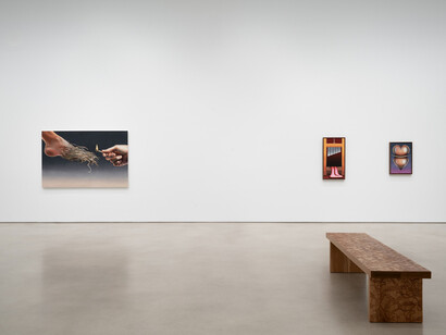 Emily Mae Smith, Transit of Venus, exhibition view. Courtesy of Petzel Gallery
