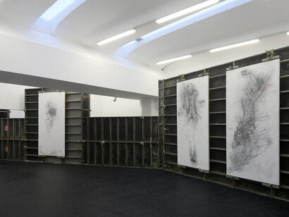 Peter Senoner, Exhibition view. Courtesy of © Doris Ghetta