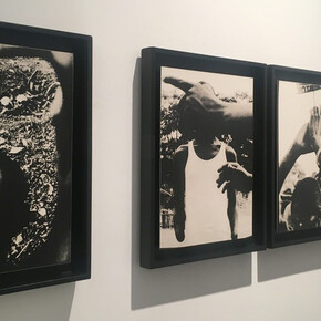 Nah ist das Land, das sie das Leben nennen. Courtesy of Galerie Peter Sillem