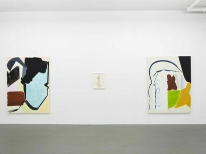 Patricia Treib, Installation Views