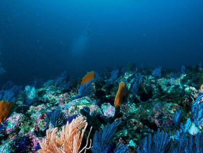 Gli oceani rilasciano ossigeno nell'atmosfera