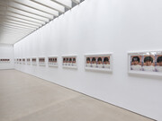 Alfredo Jaar, A Hundred Times Nguyen, 1994. Courtesy the artist, New York and YSP. Photo © Jonty Wilde