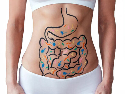 Il ruolo dell’intestino è così importante da far sì che venga comunemente indicato come il nostro secondo cervello