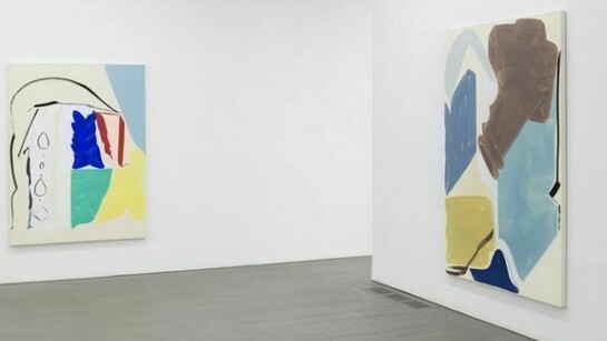 Patricia Treib, Installation View, Wallspace Gallery