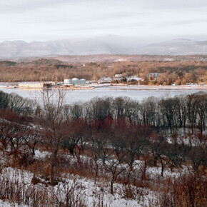 Tema Stauffer. Courtesy of Tracey Morgan Gallery