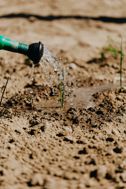 Instead of relying on manual tasks, farmers can use IoT devices to collect real-time data about soil, weather, and crop conditions