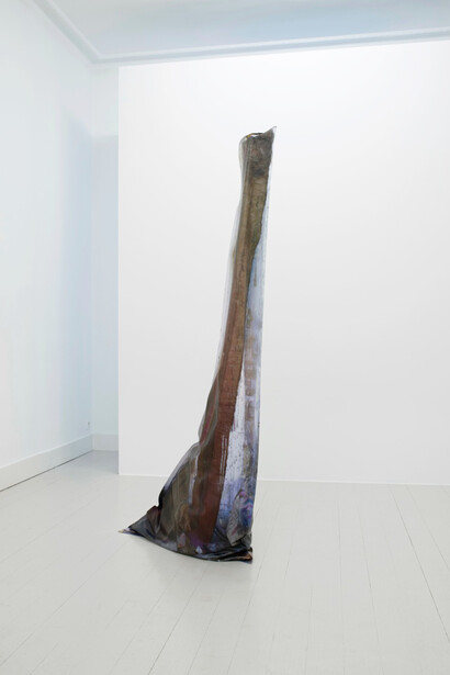 Emmanuelle Lainé. Dommage! Il était si bien conservé, 2015. UV print on PVC, fragments of installation. 83 x 26 x 193 cm. Courtesy of the artist and MOT International London and Brussels