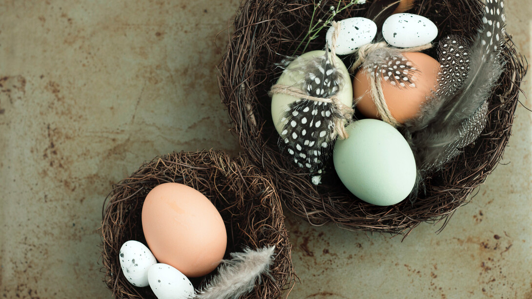 Le uova di Pasqua