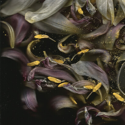 M. Nardone 2016 - Nature morte par scanner pistil - 90x90 cm - papier mat - éd. 5