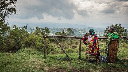 Programma Internazionale di conservazione dei Gorilla, Uganda