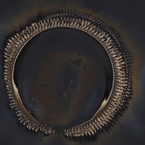 Not of this World. Courtesy of Rick Wester Fine Art