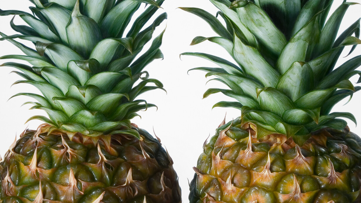 Antonio Castelló Avilleira, Pineapples, Oil on linen, 97 x 195 cm
