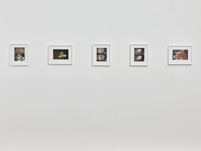 Kiki Smith, exhibition view. Courtesy of Timothy Taylor Gallery