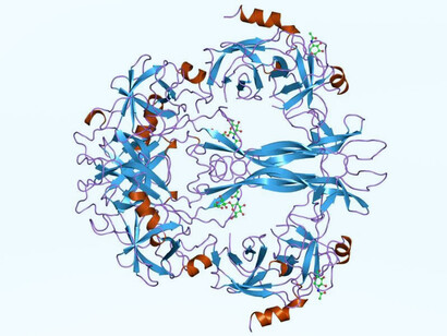Representación de la estructura molecular del Factor de Crecimiento Nervioso