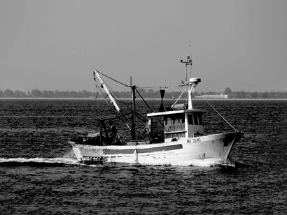 Il pescato sino a pochi anni fa, dava lavoro al 10% della popolazione dei piccoli stati africani che si affacciavano sul Golfo di Guinea