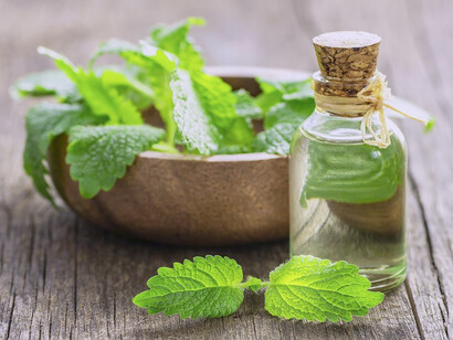 Fitoterapia: las hojas del cedrón son ricas en un aceite esencial, cuyo componente principal es el citral, y que contiene además cariofileno, un aldehído sesquiterpénico al que se atribuye acción eupéptica y espasmolítica