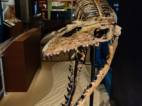 Sea Monsters Unearthed. Courtesy of Smithsonian's National Museum of Natural History