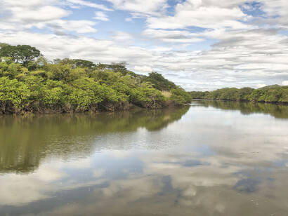 Río Tempisque, Costa Rica. De sus aguas depende la producción de ganado vacuno y cultivos extensivos como caña de azúcar y arroz de la provincia de Guanacaste
