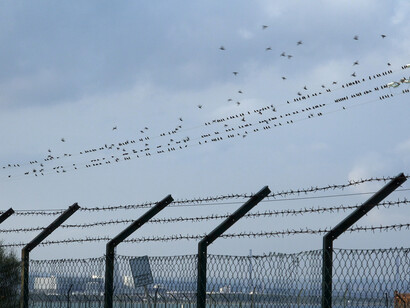 Michel Couturier, Un royaume sans frontière (video-still), 2018. Avec l'aimable autorisation du Centrale for contemporary art
