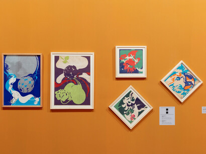 Flávio Império: tienes la voluntad y es libre, vista de exhibición. Cortesía de la Pinacoteca 