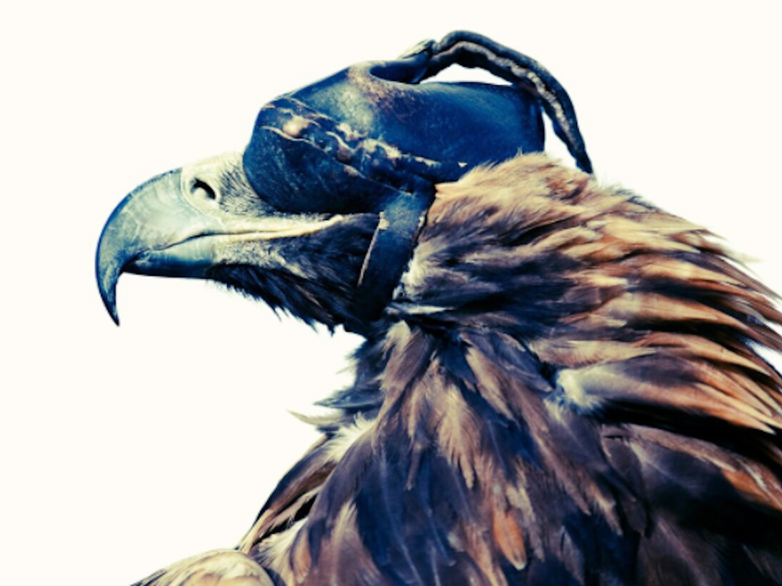 Lyle Owerko, Eagle Hunter 1, 2015. Courtesy of Joseph Gross Gallery