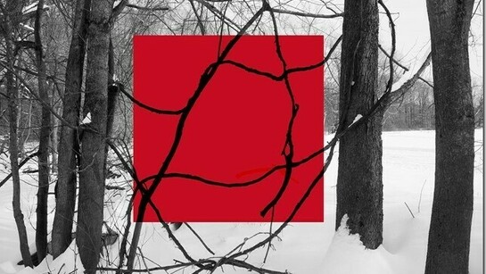 Red Square, 2015 by Stephanie Blumenthal
archival inkjet print  20 x 30 
