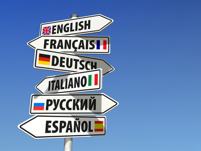 Todo un mundo por descubrir