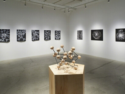 Greg Niemeyer and Roger Antonsen. Courtesy of Catharine Clark Gallery