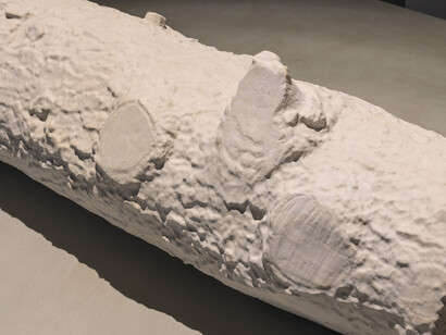 Perejaume, Madera adorada en piedra / piedra adorada en madera (2021). Courtesy Nogueras Blanchard, Barcelona/Madrid. Photography Roberto Ruiz