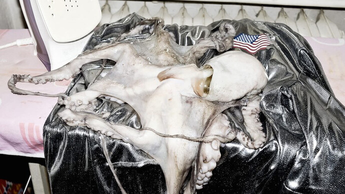 Dido Fontana, Untitled, 2013, C-print, 150 x 100 cm, ed. 12