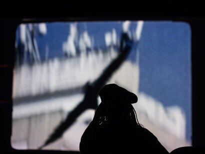 Luis Roque, Buitre, vista de exhibición. Cortesía de Pinacoteca