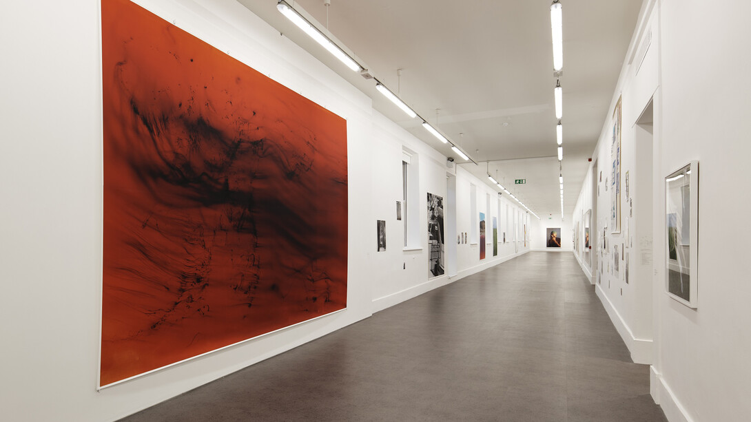 Wolfgang Tillmans. Courtesy of Irish Museum of Modern Art