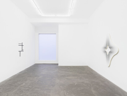 Philippe Decrauzat. Courtesy of Praz-Delavallade