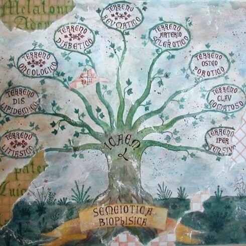 Semeiotica biofisica, affresco