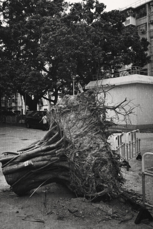 South Ho Siu Nam. Courtesy of Blindspot Gallery