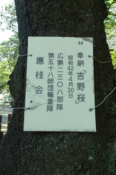 Testimonios en honor a los fallecidos en las guerras en el santuario de Yasukuni, Japón