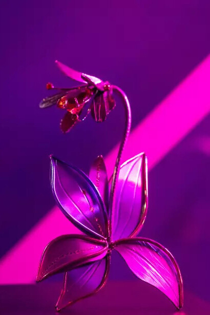 Spectrum: beautiful nature. Courtesy of Museum of Decorative Arts and Design