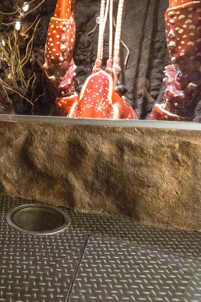Underground Adventure. Courtesy of Field Museum