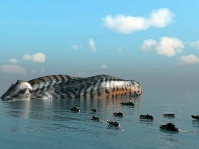 Kim Joon, Island-Mackerel, 2013, digital print, 39.4 x 63 inches. Courtesy of Sundaram Tagore Gallery.