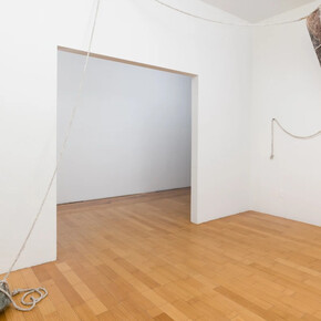 Gretchen Marie Schaefer, Enduring gravity, exhibition view. Courtesy of David B. Smith Gallery 