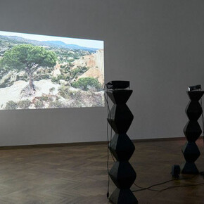 Raphaela Vogel. Courtesy of Kunsthalle Basel