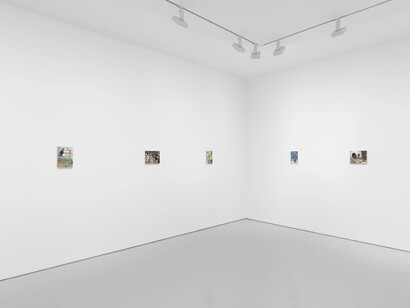 Tim Hawkinson, Cabinet pictures, exhibition view. Courtesy of Miles McEnery Gallery