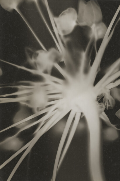 François Kollar, Bouche du tunnel Sainte-Catherine, Sotteville-lés-Rouen Sotteville-lés-Rouen, 1931- 1932 Épreuve gélatino argentique, tirage d‘époque, 16,8 x 22,8 cm.
Donation François Kollar, Médiathèque de l‘architecture et du patrimoine.