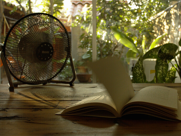 Edgardo Aragón, Mésoamérique : l'effet ouragan 2015 (détail de la vidéo), Vidéo HD, couleur, son, et série de 10 cartes. Coproduction : Jeu de Paume, Paris, Fondation Nationale des Arts Graphiques et Plastiques et CAPC musée d’art contemporain de Bordeaux
