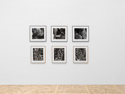 Varios artistas, El horizonte siempre se aleja, vista de exhibición. Cortesía del Museo Tamayo