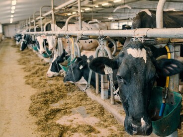 La gestione dei liquami e dei rifiuti prodotti negli allevamenti contribuisce in modo significativo alla produzione di metano, specialmente quando la decomposizione avviene in assenza di ossigeno