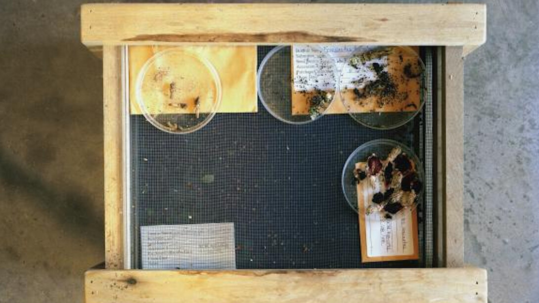 Dornith Doherty. Courtesy of Amon Carter Museum of American Art