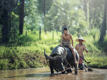 Campesinos en Camboya