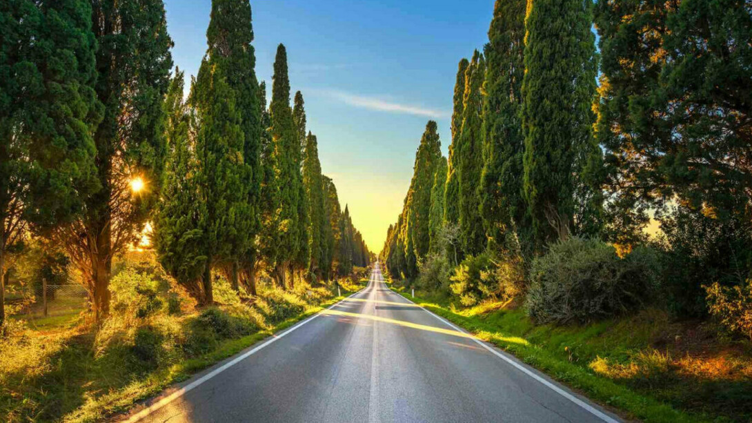 Il viale dei Cipressi di Bolgheri, nel cuore della Maremma livornese